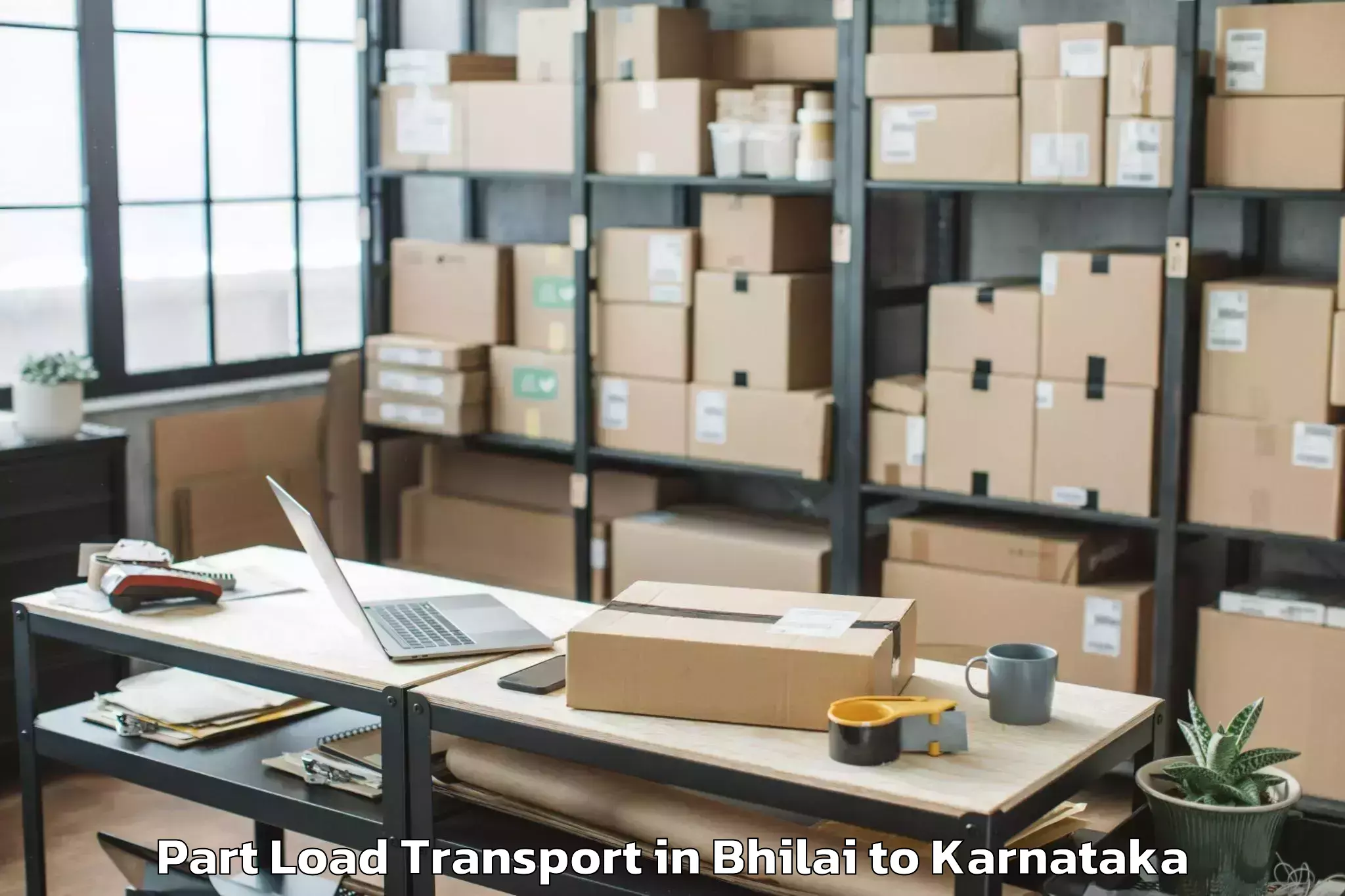 Reliable Bhilai to Holesirigere Part Load Transport